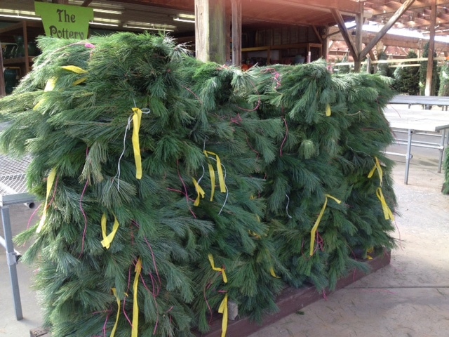 Tree sales have been brisk – good supply of wreaths, greens and pine roping