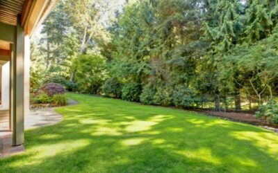 Ask Mr. Burger – Should I apply lime to my yard in the spring?