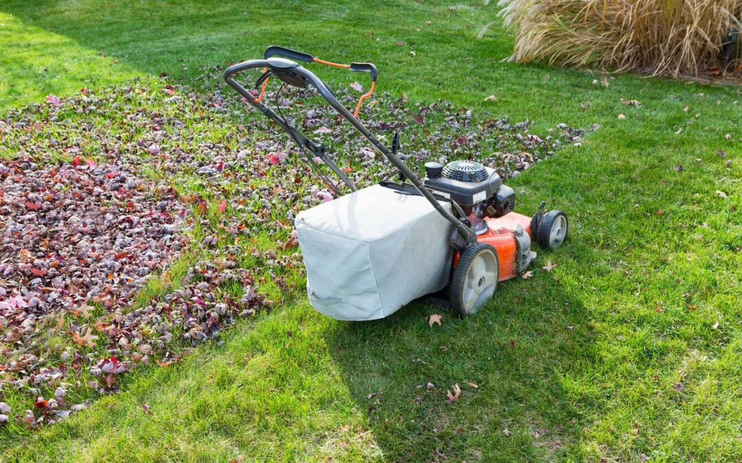 Fall Leaves – Mulching is better for your yard