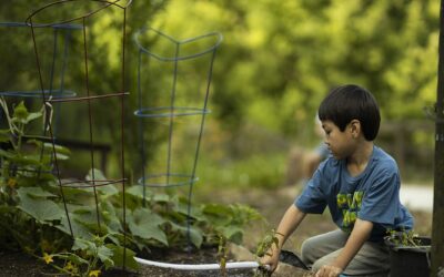 What Garden Projects are Great for Kids?