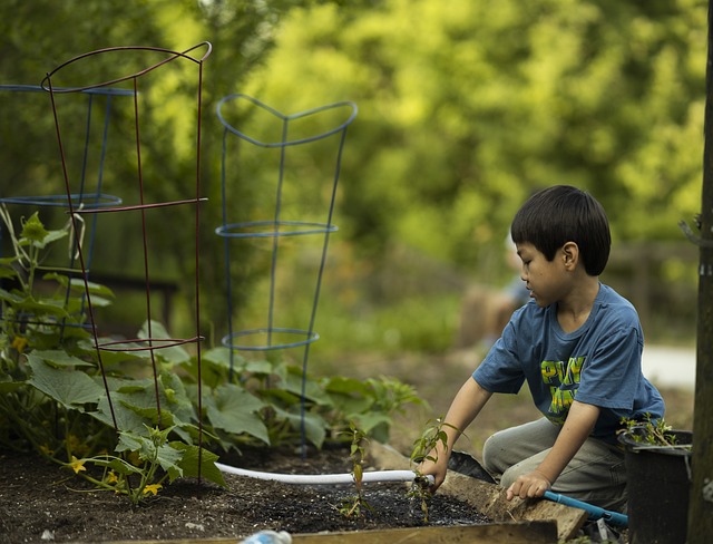What Garden Projects are Great for Kids?